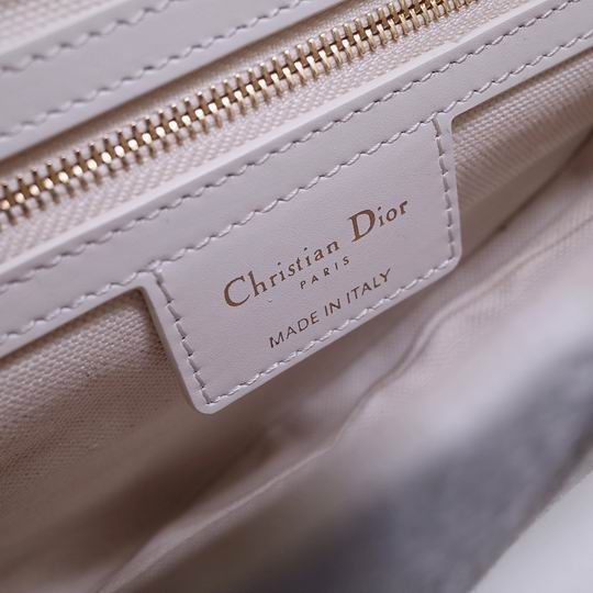 Dior Saddle 6815 L25.5x20x6.5 S21x18x5cm wo_8